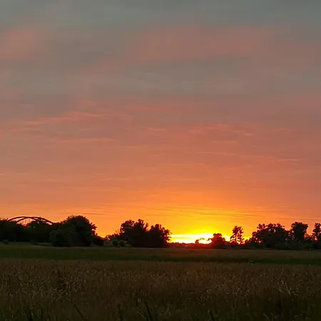 Апартаменты Havelsterne In *